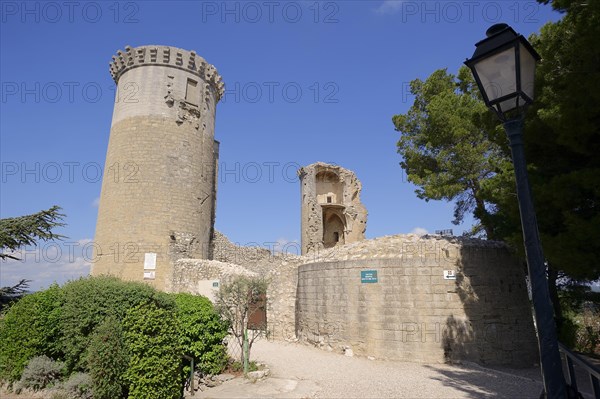 Castle, Chateaurenard, Bouches-du-Rhone, Provence-Alpes-Cote d'Azur, South of France, France, Europe