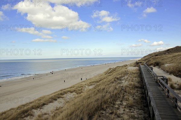 Sylt, Schleswig-Holstein, Wide view over a beach with wooden jetty and dunes on a sunny day, Sylt, Schleswig-Holstein, Germany, Europe