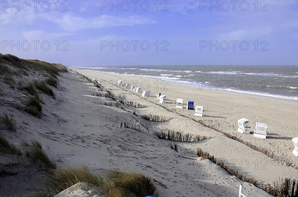 Beach near Wenningsstedt, Sylt, North Frisian Island, Wide coastal landscape with a row of beach chairs on dunes in front of a blue sky, Sylt, North Frisian Island, Schleswig Holstein, Germany, Europe
