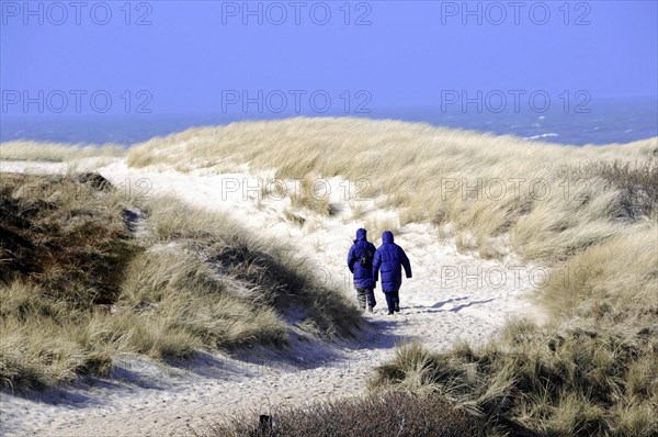 Sylt, North Frisian Island, Schleswig-Holstein, Two people in blue jackets walking along a path along the dunes, Sylt, North Frisian Island, Schleswig-Holstein, Germany, Europe