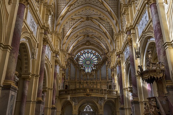 Organ loft and Gothic rose window, Ebrach Abbey, former Cistercian abbey, Ebrach, Lower Franconia, Bavaria, Germany, Europe