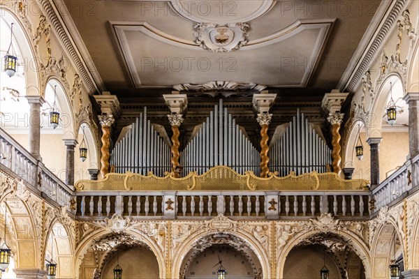 Organ, Cattedrale dei Santi Ilario e Taziano, 14th century, Gorizia, border town to Slovenia, Friuli, Italy, Gorizia, Friuli, Italy, Europe