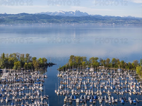 Ultramarin Gohren, the largest water sports centre on Lake Constance, Meichle and Mohr Marina with 1, 400 berths, hotel, sailing school, yacht charter and shipyards, drone photo, Gohren, Kressbronn am Lake Constance, Baden-Wuerttemberg, Germany, Europe