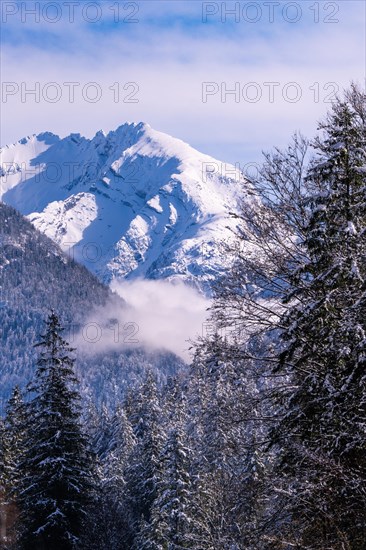 Snowy mountain landscape with fir forests and cloudy sky above, Bad Reichenhall, Bavaria, Germany, Europe