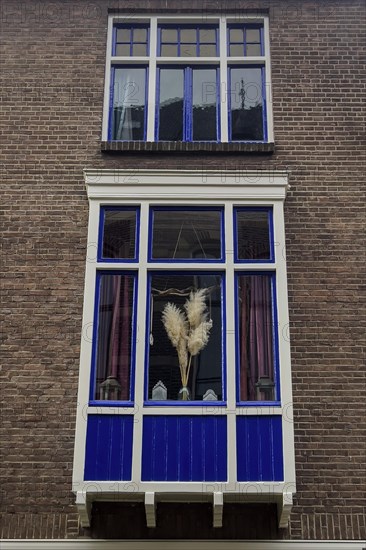 Decorated window, flowers, sparse, design, dutch, decoration, decorated, house, facade, architecture, living, home, property, nobody, sight, room, style, lifestyle, furnishing, blue, colour, wooden window, varnished, Deventer, Netherlands
