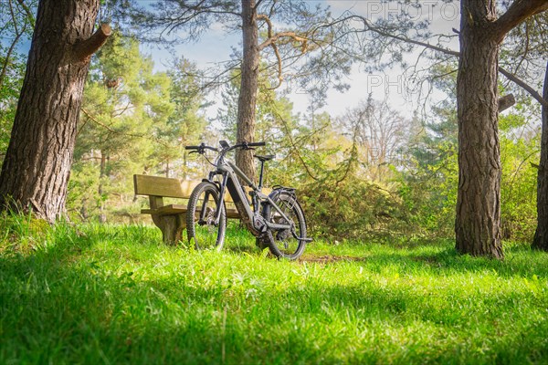 Bicycle parked next to a bench under trees in a sunny park, spring, e-bike forest bike, Gechingen, Black Forest, Germany, Europe