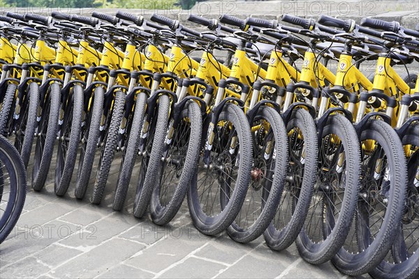 Xian, Shaanxi, China, Asia, Many yellow bicycles parked in a row on a city pavement, Asia