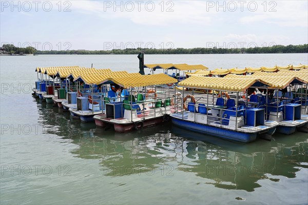 New Summer Palace, Beijing, China, Asia, Row of yellow and blue pedal boats moored on a tranquil lake, Beijing, Asia