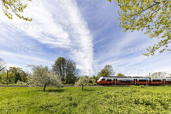 Siemens Desiro ML local train, Vorarlberg OeBB local transport fleet travelling in the border triangle, here near Lindau on Lake Constance, Bavaria, Germany, Europe