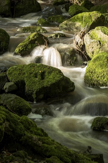 Mountain stream in the forest with mossy basalt rocks, blocks of basalt in the stream bed, Tertiary volcano, flowing water, motion blur, Krummbach, Vogelsberg Volcanic Region nature park Park, Nidda, Wetterau, Hesse, Germany, Europe