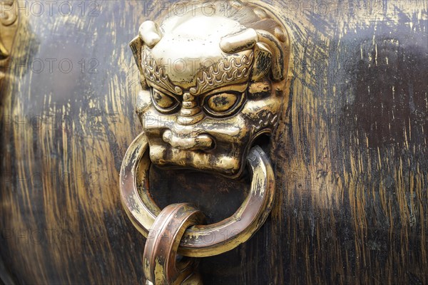 China, Beijing, Forbidden City, UNESCO World Heritage Site, Close-up of the golden lion's head handle on a historic bronze cauldron, Forbidden City (Palace Museum) in Beijing, China, Asia