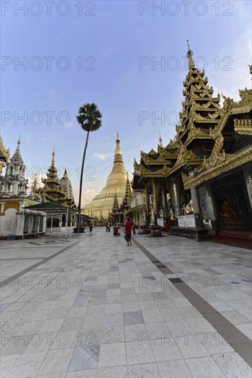 Shwedagon Pagoda, Yangon, Myanmar, Asia, View of a golden pagoda under a blue sky with a palm tree and people in the foreground, Asia