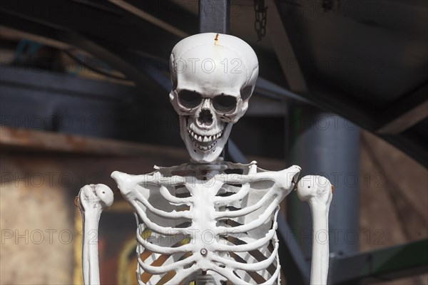 Skeleton with skull on a ghost train, decoration, figure at the Bremen Easter Fair, Buergerweide, Bremen, Germany, Europe