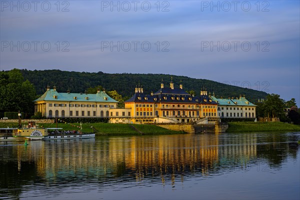 The historic side-wheel steamer KRIPPEN passes Pillnitz Palace in the glow of the setting evening sun, Dresden, Saxony, Germany, 24 May 2019, Europe