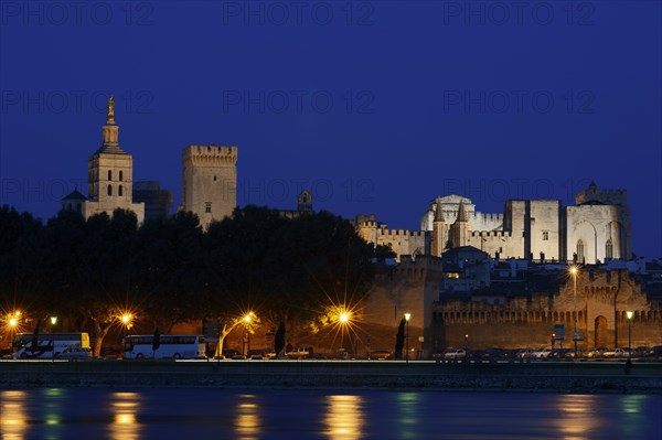 Papal Palace and Notre-Dame des Doms Cathedral at night, Avignon, Vaucluse, Provence-Alpes-Cote d'Azur, South of France, France, Europe