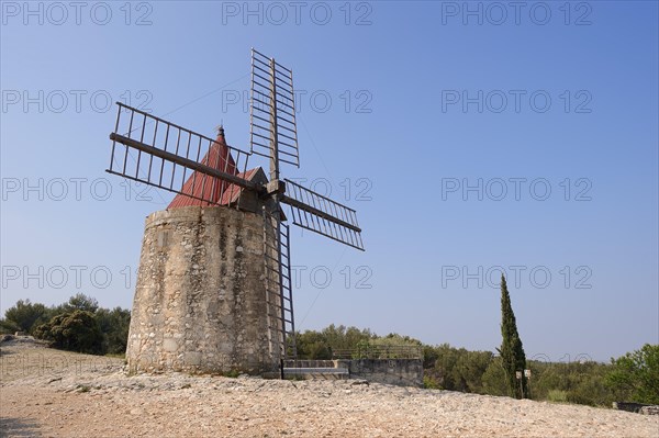 Windmill 'Moulin de Daudet', Fontvieille, Bouches-du-Rhone, Provence-Alpes-Cote d'Azur, South of France, France, Europe