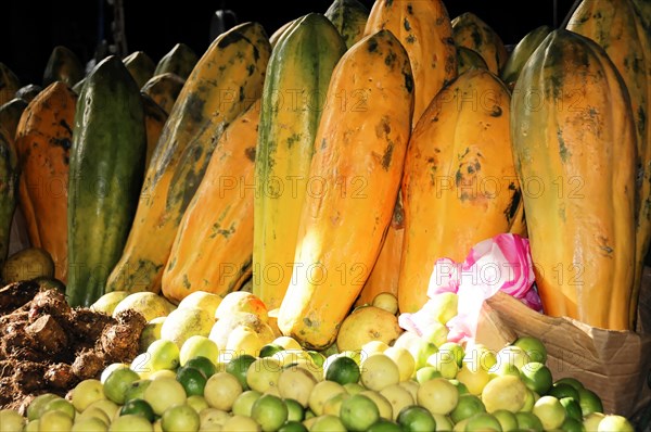 AUGUSTO C. SANDINO Airport, Managua, Ripe papayas among other exotic fruits on display at a market, Nicaragua, Central America, Central America