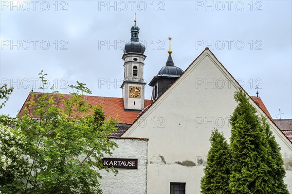Baroque hall church of St Maria, monastery church of the former Imperial Charterhouse Buxheim, Unterallgaeu district, Upper Swabia, Bavaria, Germany, Europe