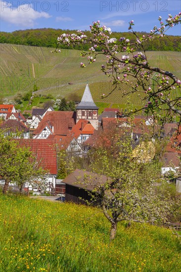 Struempfelbach, Weinstadt, Rems Murr Kreis, Baden- Wuerttemberg, Germany, Struempfelbach, Baden-Wuerttemberg, Germany, Europe