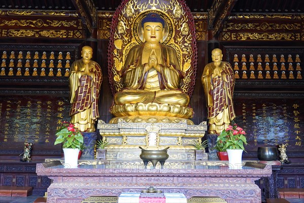 Chongqing, Chongqing Province, China, Asia, Symmetrical arrangement of golden Buddha statues inside a Chinese temple, Asia