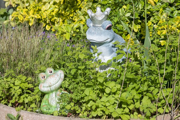 Garden decoration, frogs, frog king, Baden-Wuerttemberg, Germany, Europe