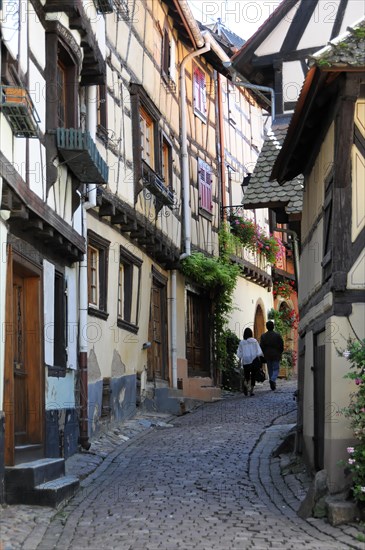 Eguisheim, Alsace, France, Europe, A winding alley with half-timbered houses, cobblestones and strolling people, Europe