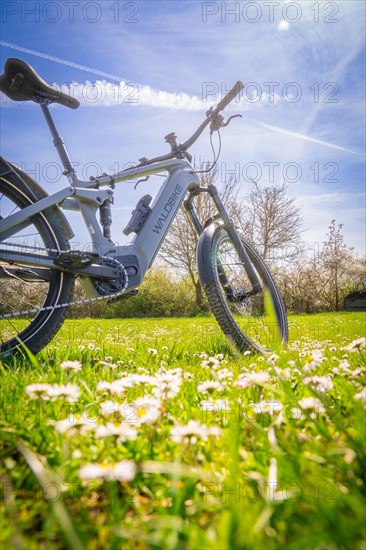 A bicycle leaning on a blooming meadow in the bright sunshine, spring, E- Bike Waldbike, Gechingen, Black Forest, Germany, Europe