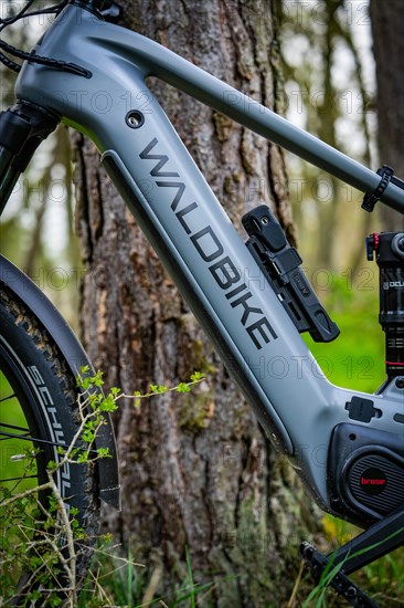 An e-bike leaning against a tree, focus on the frame and brand name, spring, e-bike forest bike, Gechingen, Black Forest, Germany, Europe