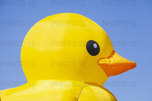 Yellow duck, decoration, figure at the Bremen Easter Fair, Buergerweide, Bremen, Germany, Europe