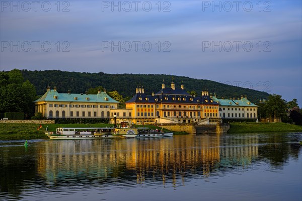 The historic side-wheel steamer KRIPPEN passes Pillnitz Palace in the glow of the setting evening sun, Dresden, Saxony, Germany, 24 May 2019, Europe