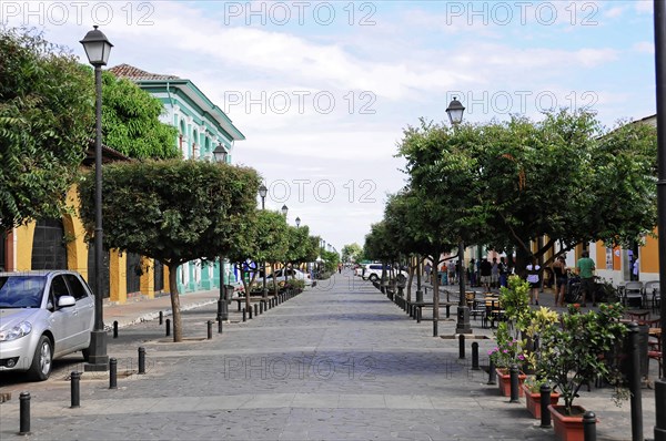 Granada, Nicaragua, A quiet street lined with colourful houses and trees under a clear blue sky, Central America, Central America -, Central America