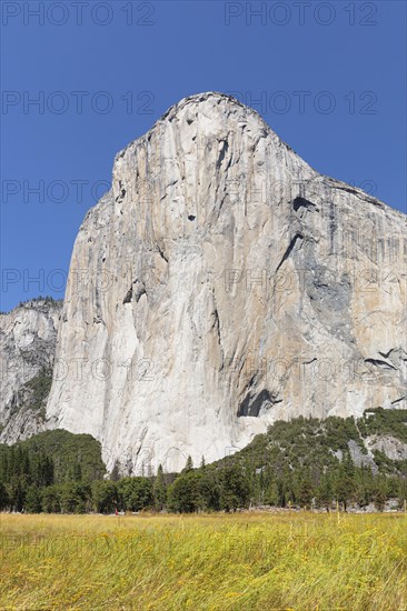 El Capitan, Vosemity Valley, Yosemite National Park, California, United States, USA, Yosemite National Park, California, USA, North America