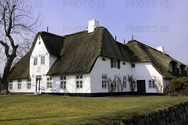 House, Keitum, Sylt, North Frisian Island, Traditional whitewashed thatched houses on a sunny day with blue sky, Sylt, North Frisian Island, Schleswig Holstein, Germany, Europe