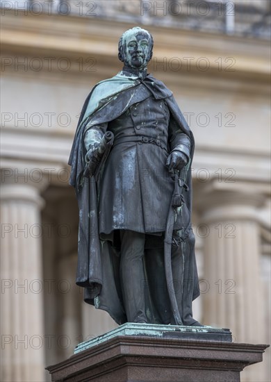 Duke Friedrich Monument in front of Ludwigslust Palace in the palace park, Ludwigslust, Mecklenburg-Vorpommern, Germany, Europe