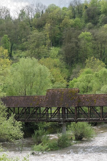 Spring awakening in the Kocher valley near Schwaebisch Hall, wooden bridge, hillside forest, vegetation, spring, April, green lung, Kocher, Tullauer Hoehe, Hagenbachsiedlung, Hagenbach, Hohenlohe, Heilbronn-Franken, Baden-Wuerttemberg, Germany, Europe