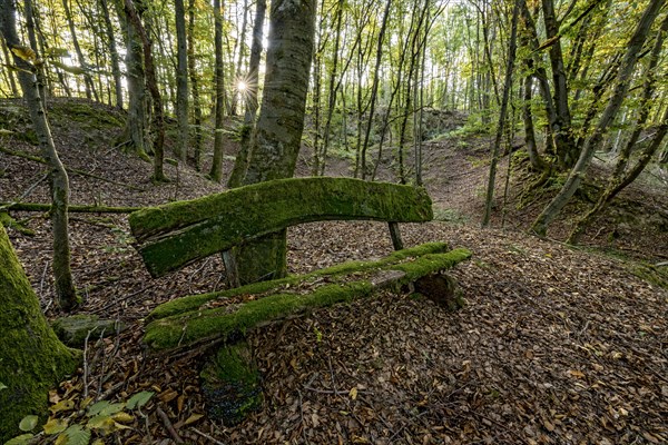 Weathered, rotten and mossy bench made of rough wooden planks, autumn leaves, sun star, beech forest, Raumertswald, volcano, Vogelsberg Volcano Region nature park Park, rest area, Nidda, Wetterau, Hesse, Germany, Europe
