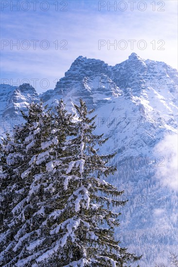 Majestic winter mountain scenery with snow-covered fir trees and blue sky, Bad Reichenhall, Bavaria, Germany, Europe