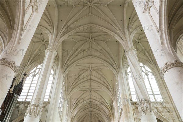 Basilica Basilique Saint-Nicolas-de-Port, Departement Meurthe-et-Moselle, Lorraine, Grand Est region, France, Europe