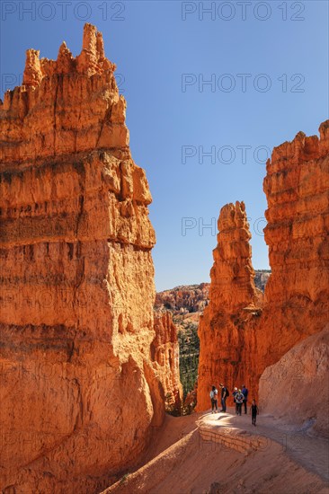 Hikers on the Queen's Garden Trail, Bryce Canyon National Park, Colorado Plateau, Utah, United States, USA, Bryce Canyon, Utah, USA, North America