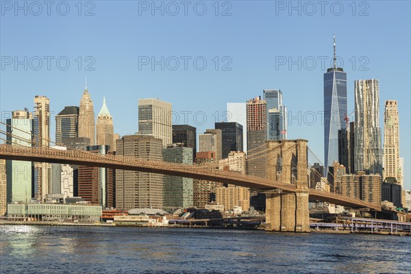 Skyline of downtown Manhattan with One World Trade Centre and Brooklyn Bridge, New York City, New York, USA, New York City, New York, USA, North America
