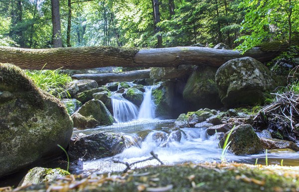 Ilse waterfall in the Ilse valley. The Heinrich Heine hiking trail leads through the Ilse valley to the Brocken, Ilsenburg, 06.06.2015., Ilsenburg, Saxony-Anhalt, Germany, Europe