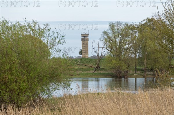 Former watchtower of the GDR, watchtower, trees, reeds, water, Elbe, Elbtalaue near Bleckede, Lower Saxony, Germany, Europe