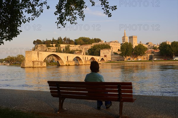 Woman on a park bench on the banks of the Rhone, Pont Saint Benezet bridge, Papal Palace and Notre-Dame des Doms Cathedral, Avignon, Vaucluse, Provence-Alpes-Cote d'Azur, South of France, France, Europe