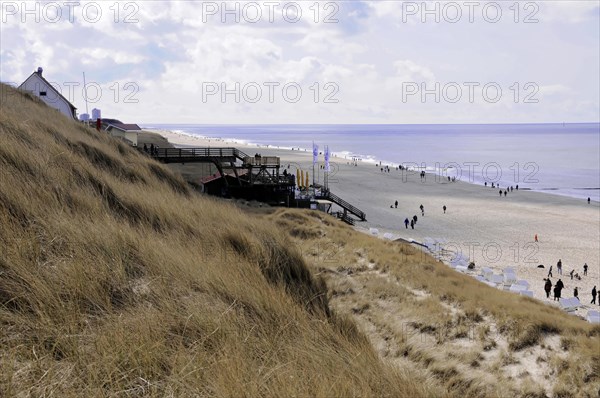 Sylt, Schleswig-Holstein, People enjoying a relaxing day at the beach with dunes in the background, Sylt, Schleswig-Holstein, Germany, Europe