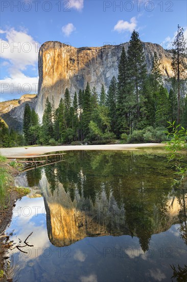 El Capitan, and Merced River, Yosemite National Park, California, United States, USA, Yosemite National Park, California, USA, North America