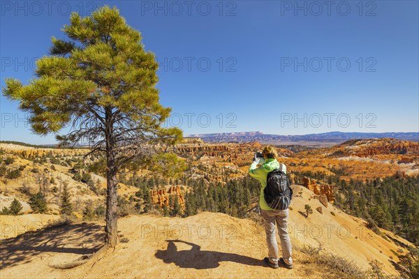 Tourist at Bryce Canyon, Bryce Canyon National Park, Colorado Plateau, Utah, United States, USA, Bryce Canyon, Utah, USA, North America