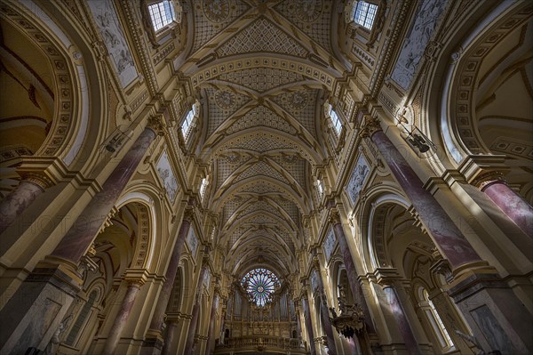 Nave with organ loft and Gothic rose window, Ebrach Abbey, former Cistercian abbey, Ebrach, Lower Franconia, Bavaria, Germany, Europe