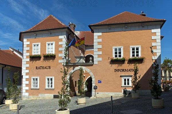 Town Hall and Tourism Information Centre of the City of Storks Rust, Rust, Burgenland, Austria, Europe