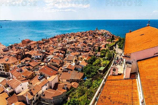 View from the bell tower over Piran, harbour town of Piran on the Adriatic coast with Venetian flair, Slovenia, Piran, Slovenia, Europe