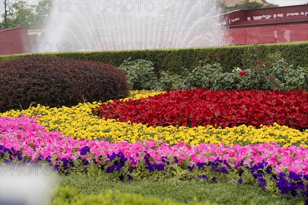 China, Beijing, Forbidden City, UNESCO World Heritage Site, Colourful flower beds in front of a blurred background with a fountain, Asia